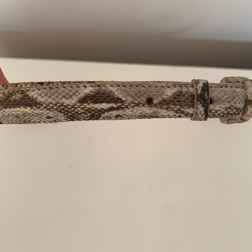 Python Belt! - image 3